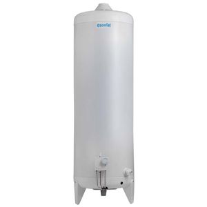TERMOTANQUE ESCORIAL 120L