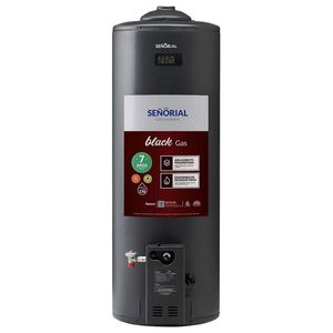 TERMOTANQUE SENIORIAL TSBG-110