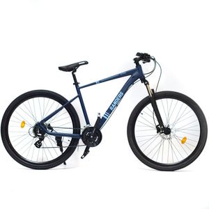BICICLETA RANDERS AETHOS / BKE-2429-LA