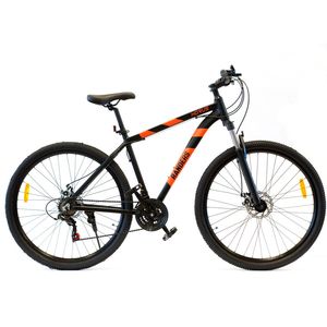 BICICLETA RANDERS HORUS